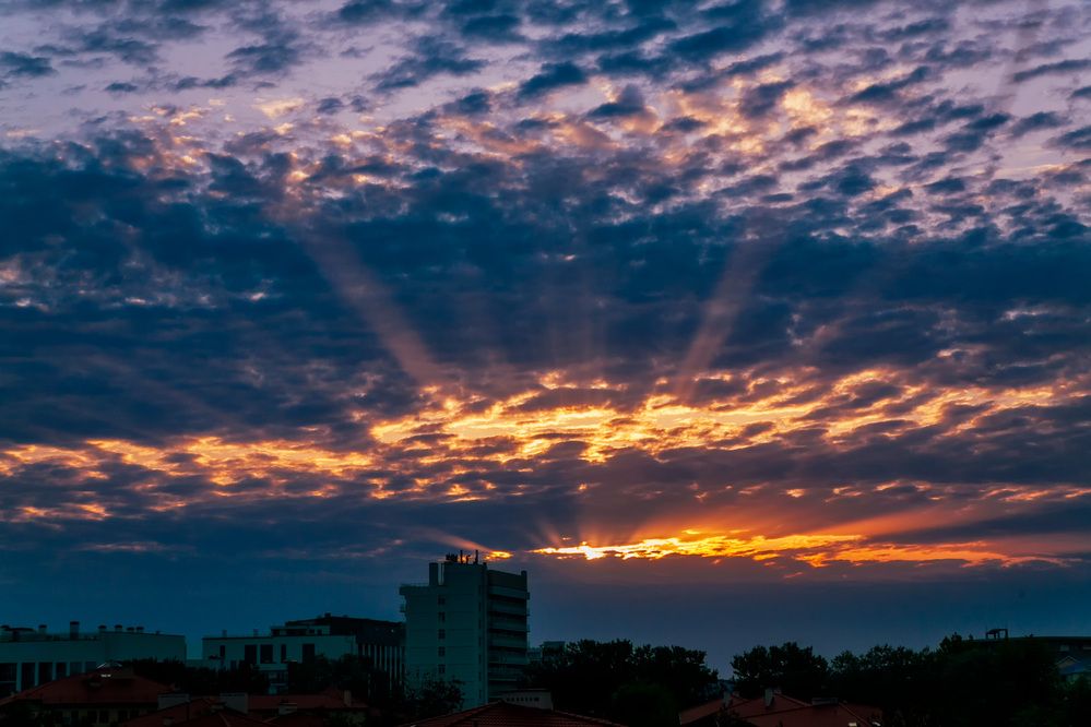 Фотография автора Oleg Podlesnykh