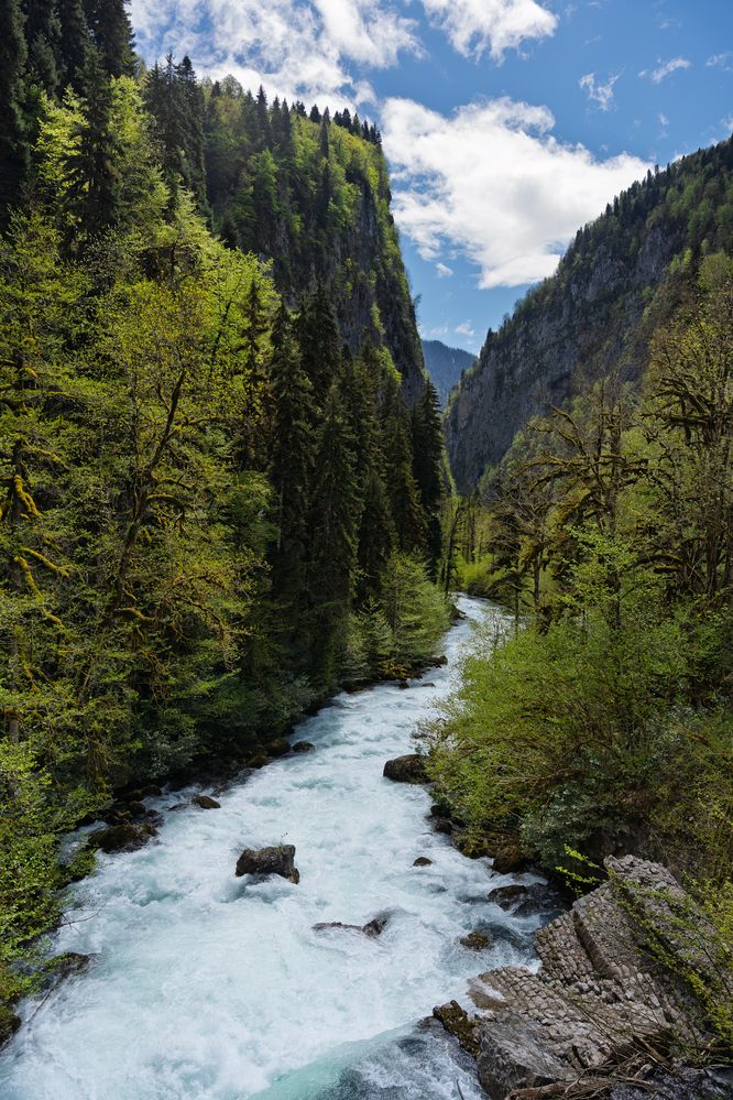 Photograph by Сергей Тишков