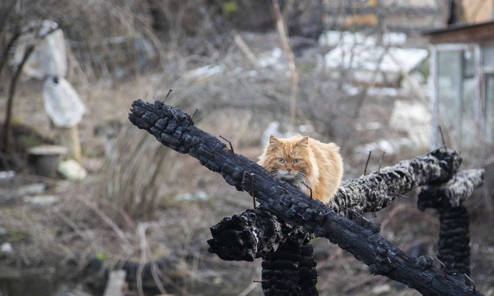 Photograph by Дмитрий Хохуля