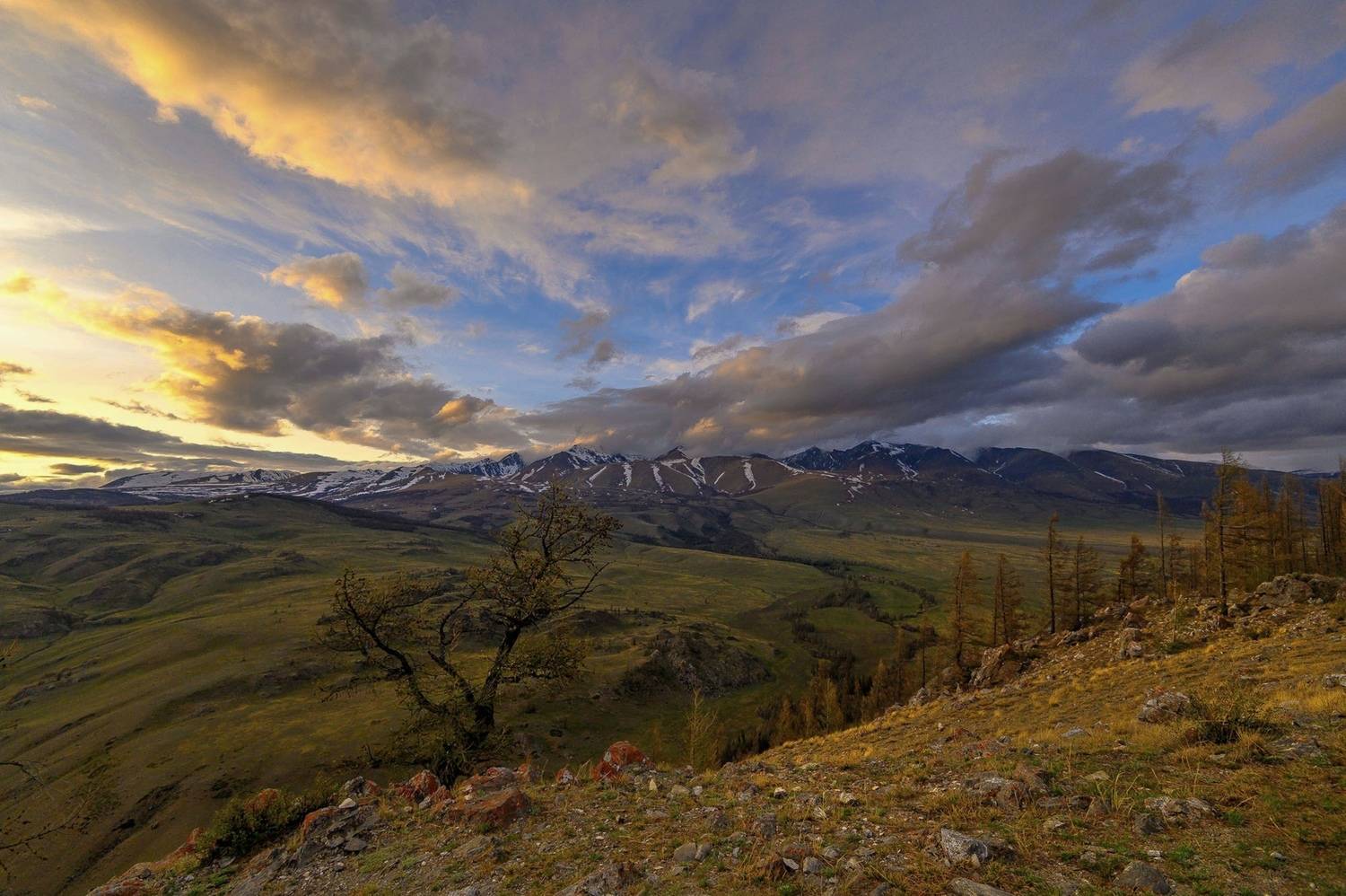 Photo #12552135