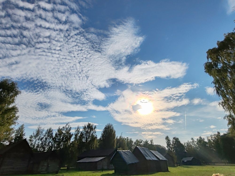 Photograph by Ольга Сошина