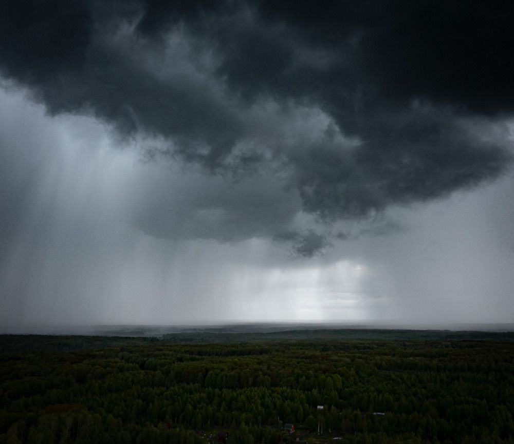 Photograph by Александр Давидик