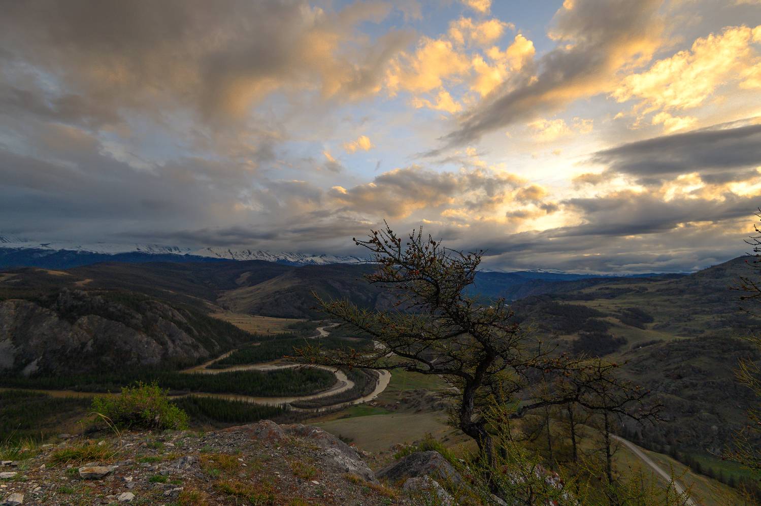 Photo #12552249