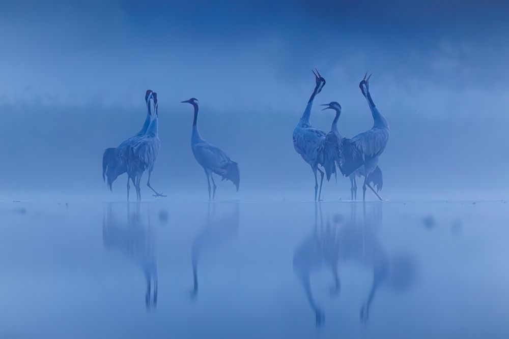 Фотография автора Patryk Kurc