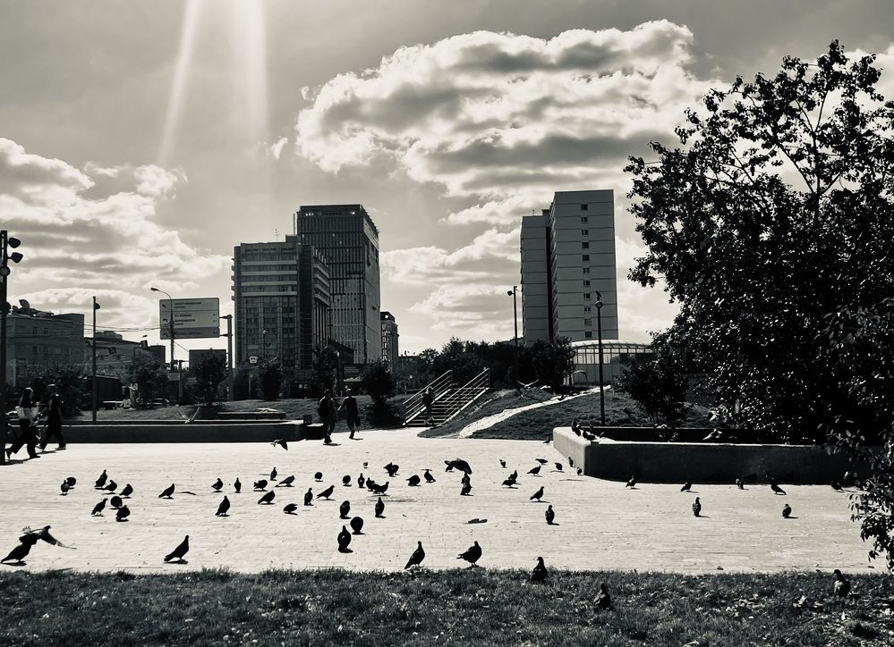 Photograph by Сюзанна