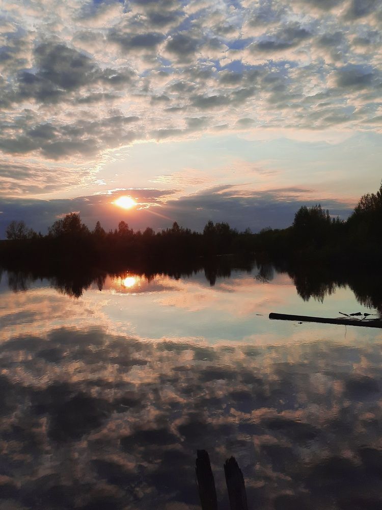 Photograph by Елена Аникеева