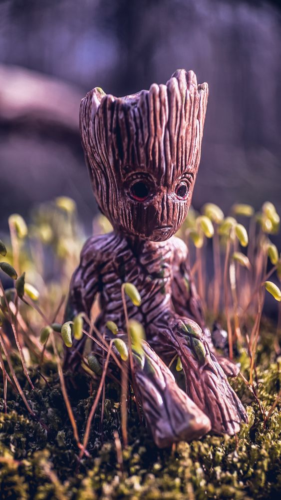 Photograph by Игорь Кабанов