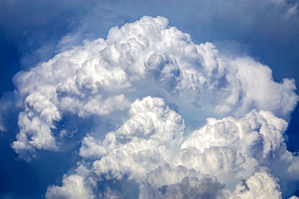 Фотография автора Karim Shokair