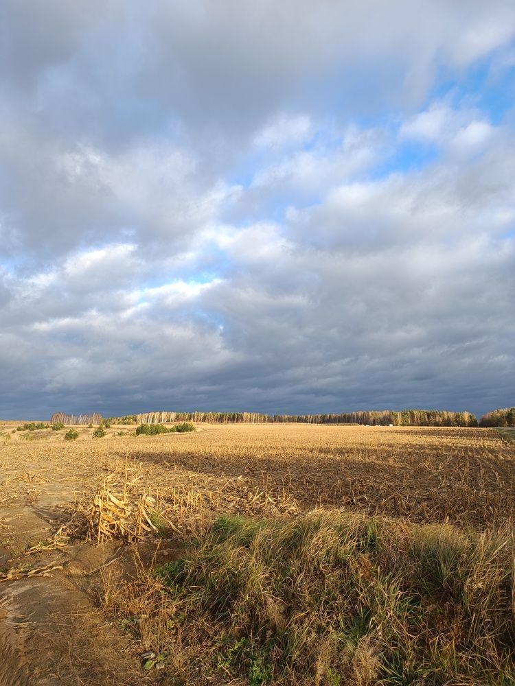 Photograph by Елена Пархоменко