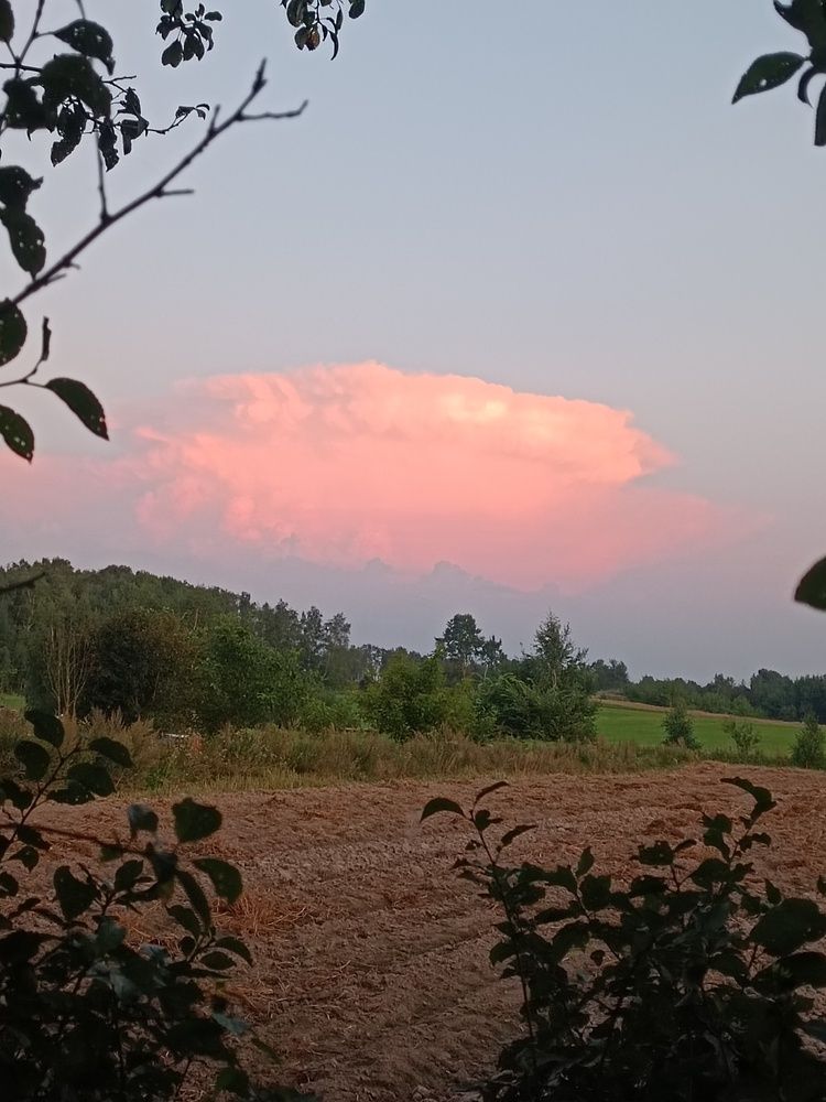 Photograph by Елена Пархоменко