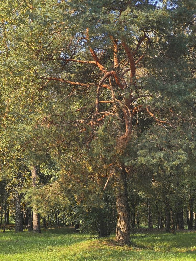 Photograph by Наташа Данилова