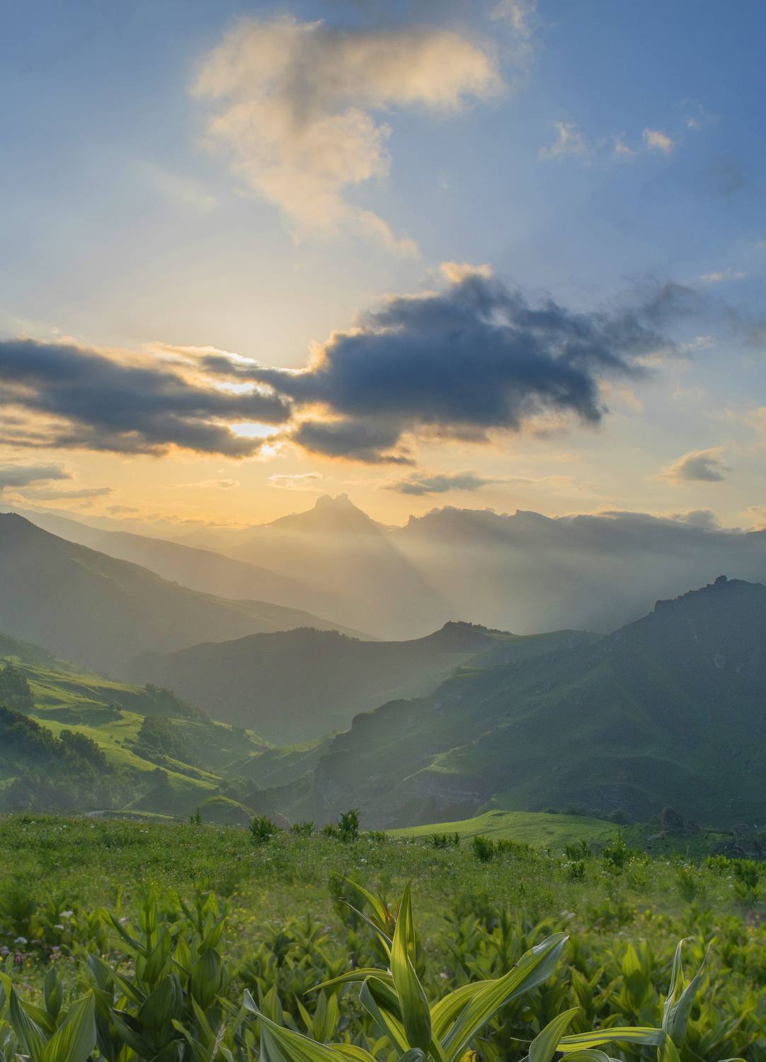 На исходе дня