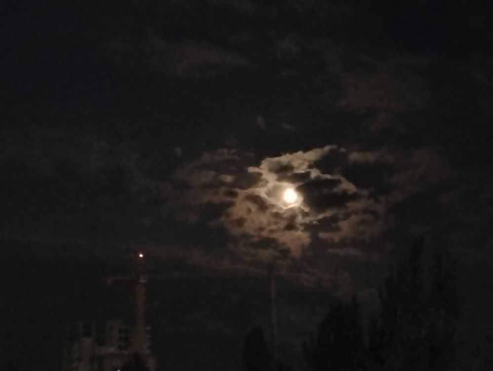 Photograph by Николай Кузьмин