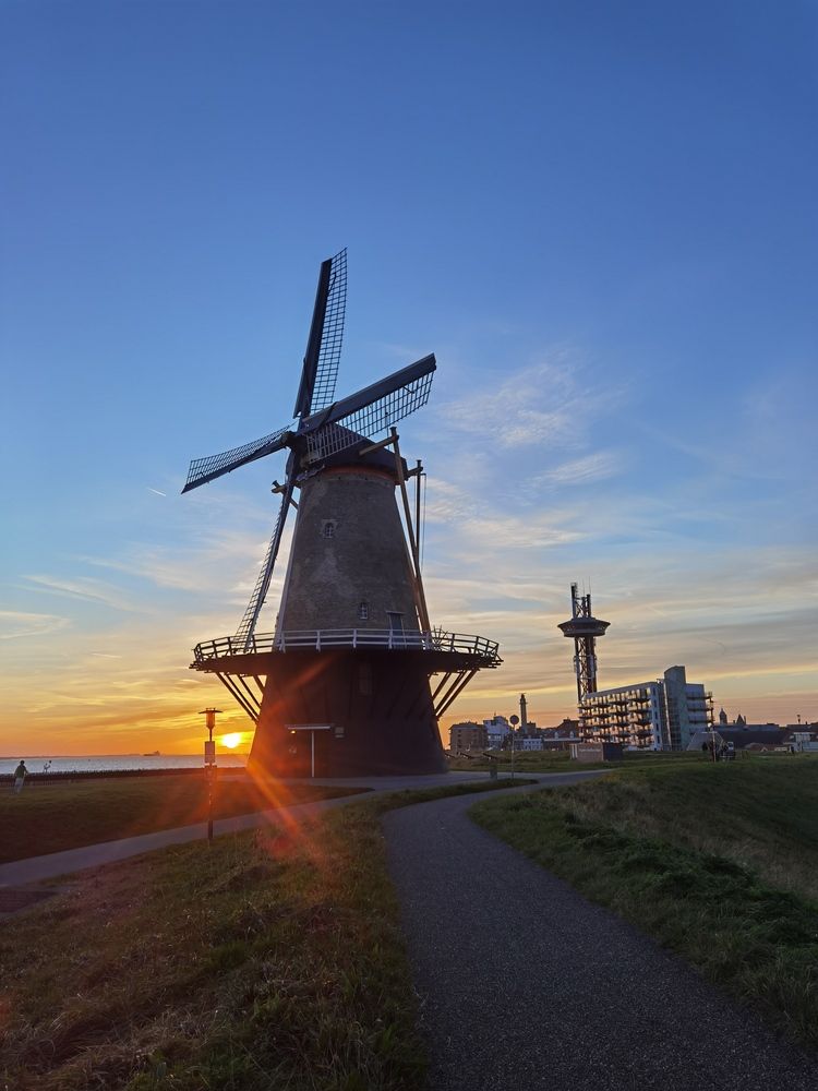 Фотография автора Victoria Vaigant