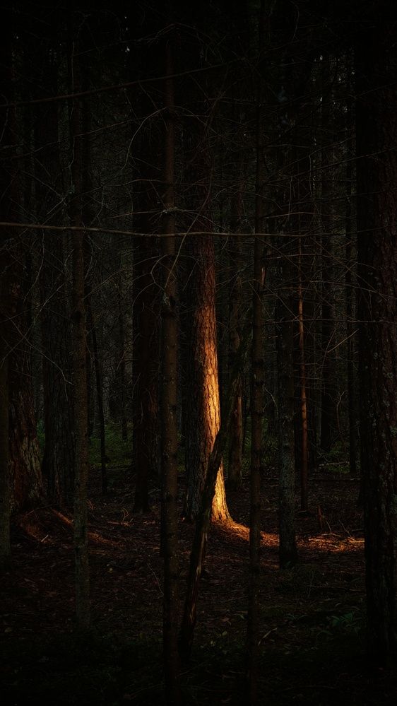 Photograph by Ekaterina Sapezhinskaya