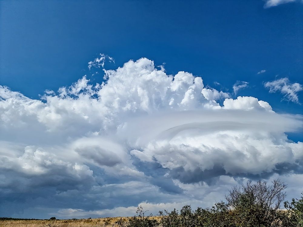 Photograph by Лариса Когтева