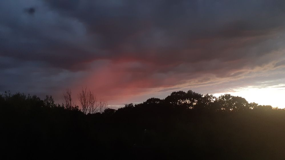 Photograph by Елена Лещева