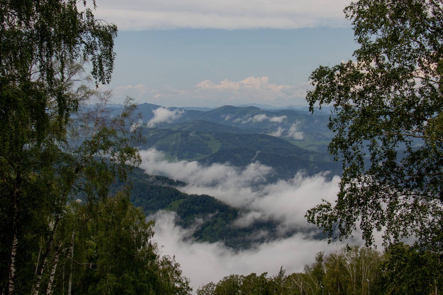 Photo #12552560