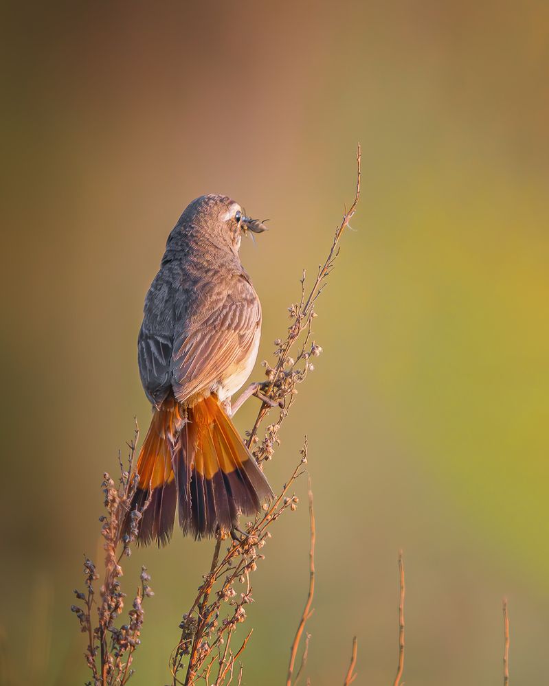 Photograph by Олег Белан