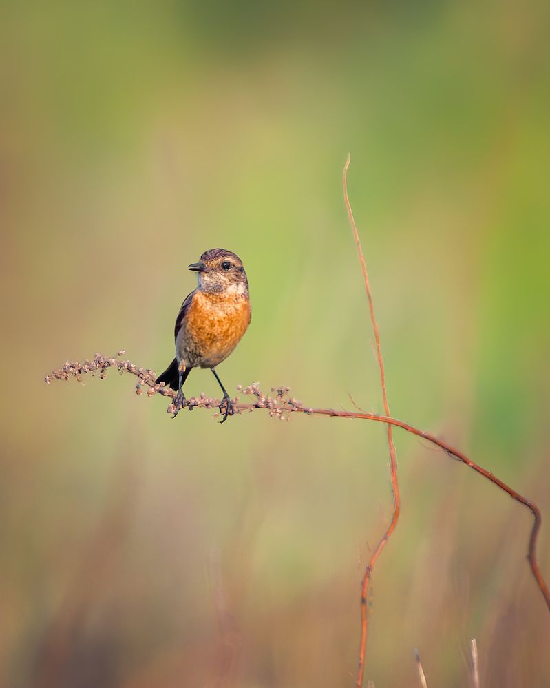 Photograph by Олег Белан
