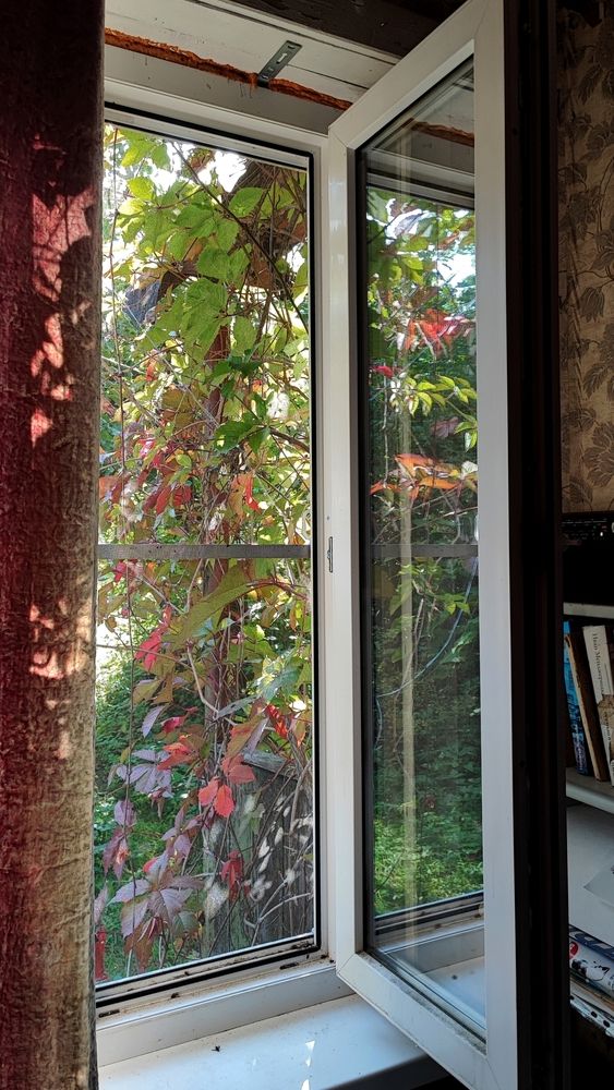 Photograph by Елена Юдина