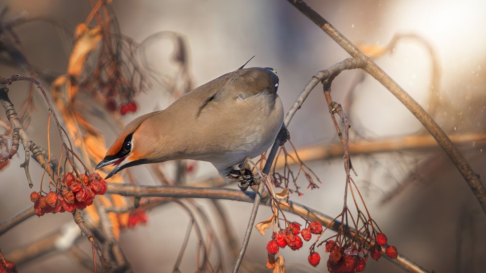 Photograph by Олег Белан