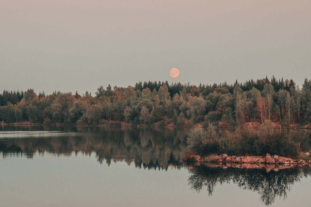 Photograph by Алексей Голубев