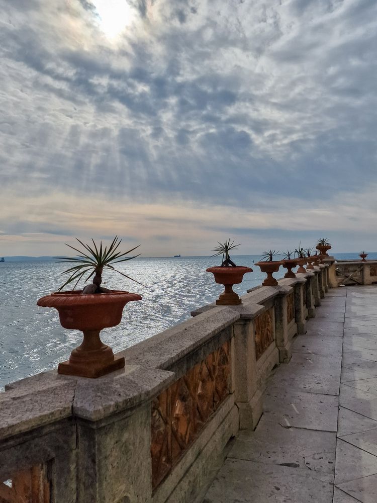 Photograph by Мария Коломиец