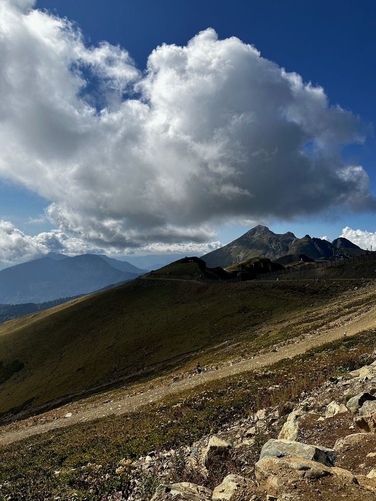 Photograph by Анастасия Шутеева