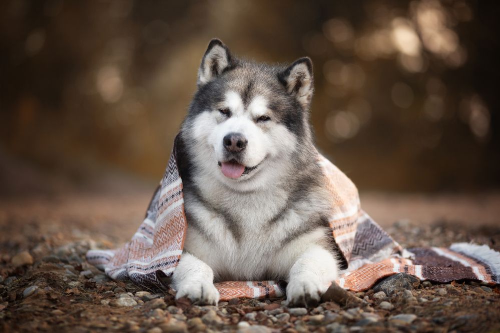 Photograph by Евгения Костусева