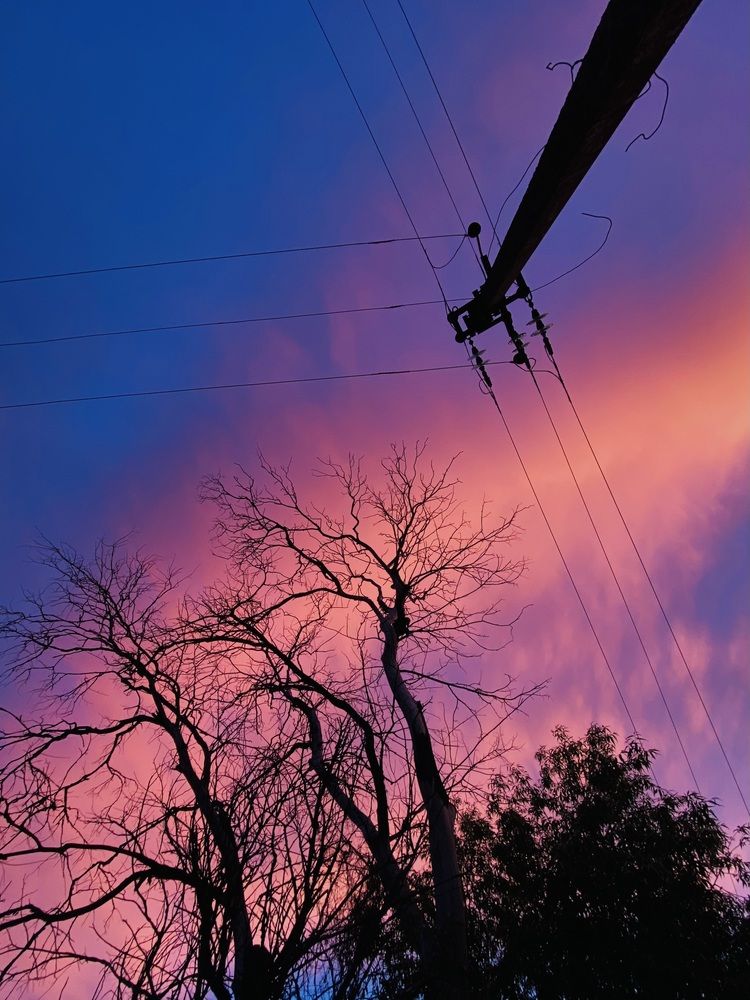 Photograph by Полина Раевская