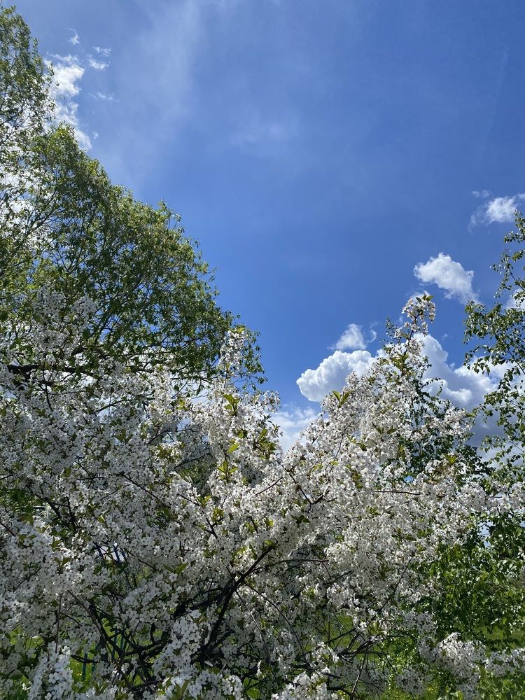 Photograph by Полина Раевская