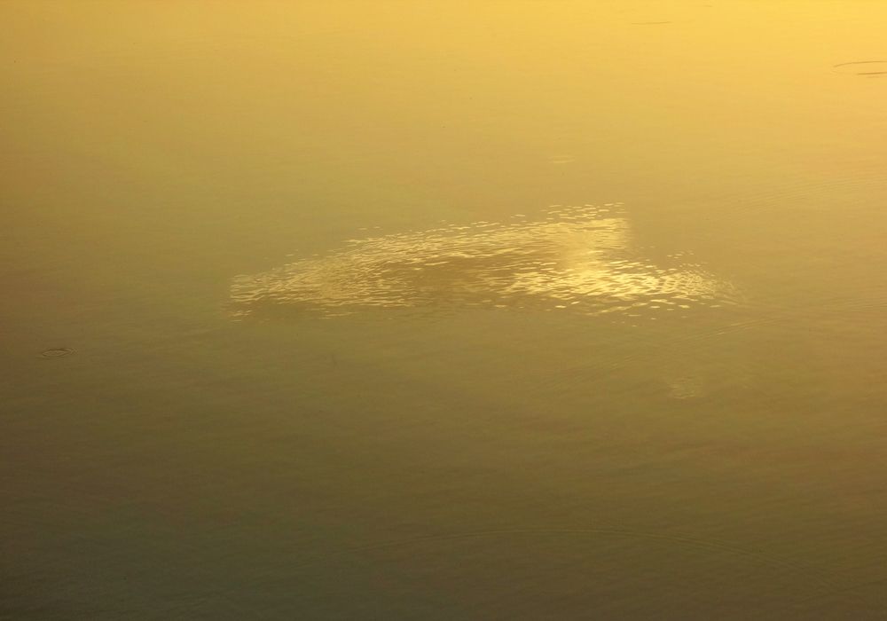 Фотография автора ТАТЬЯНА ЗАХАРОВА