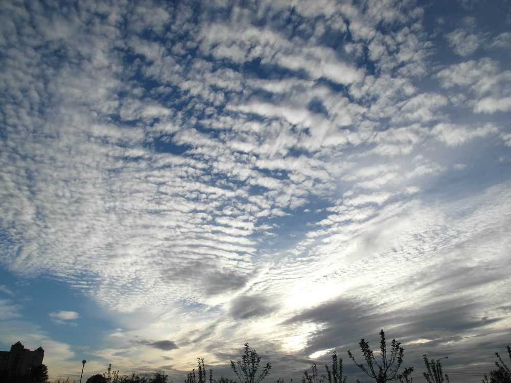 Photograph by Елена Гуляева