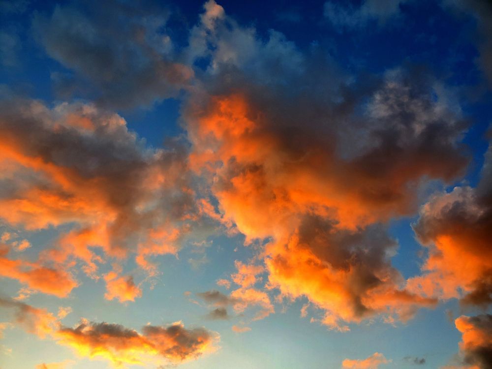 Photograph by Елена Беланенко