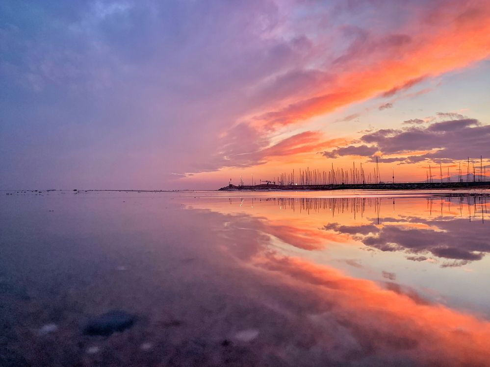 Photograph by Rosa Maria Vilella Sabaté