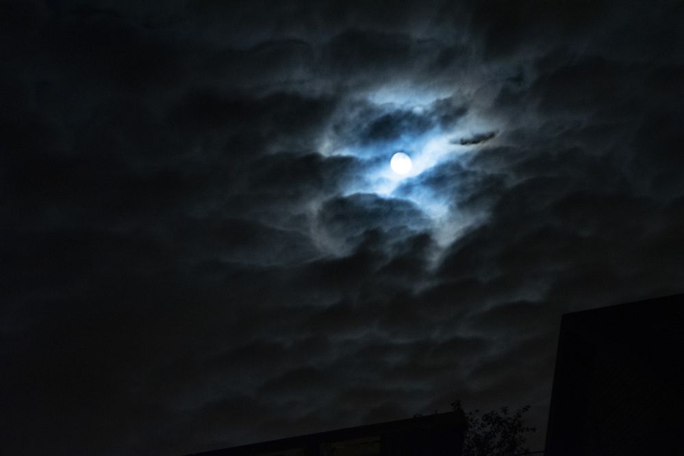 Photograph by Дария Ризниченко