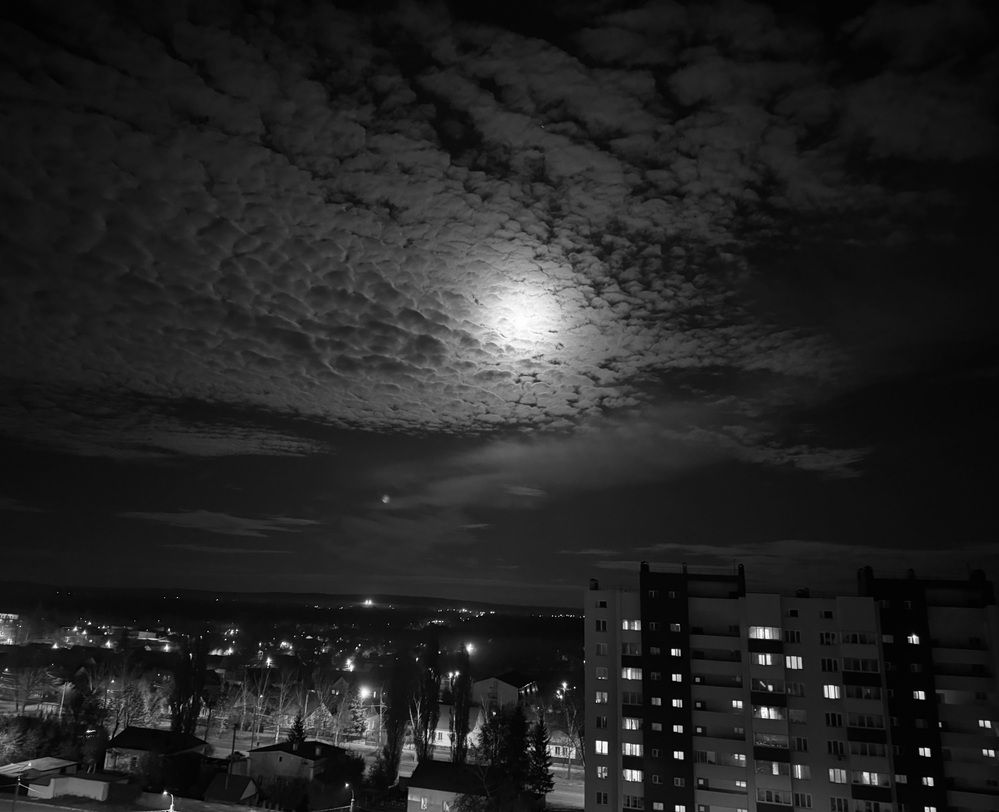 Фотография автора Карина Даутова