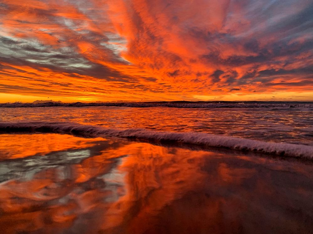 Photograph by Rosa Maria Vilella Sabaté