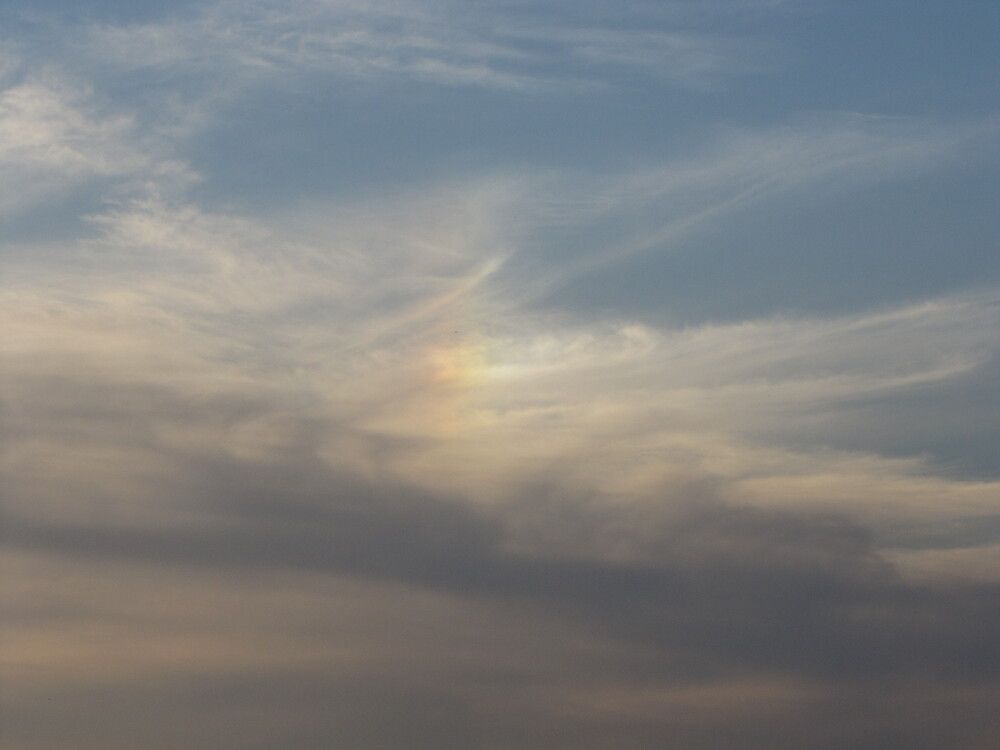 Фотография автора Кузьмичева Екатерина Васильевна