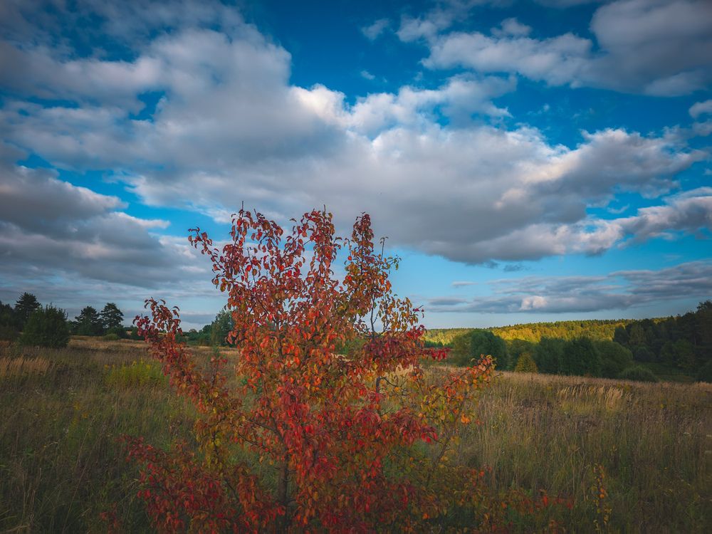 Photograph by Кирилл Сидоров