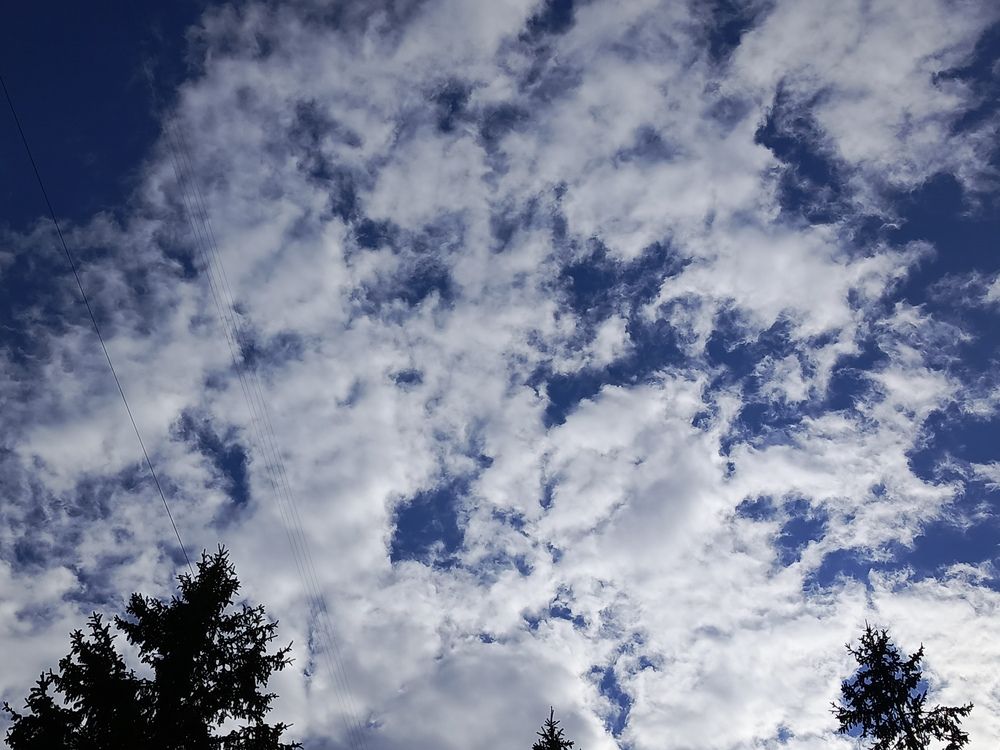 Photograph by НИНА АВЕРЬЯНОВА