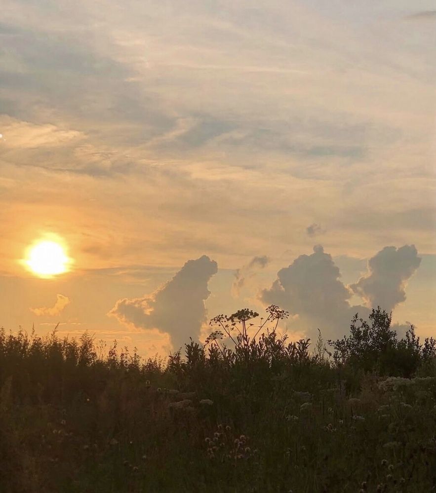 Photograph by Марина Георгиева