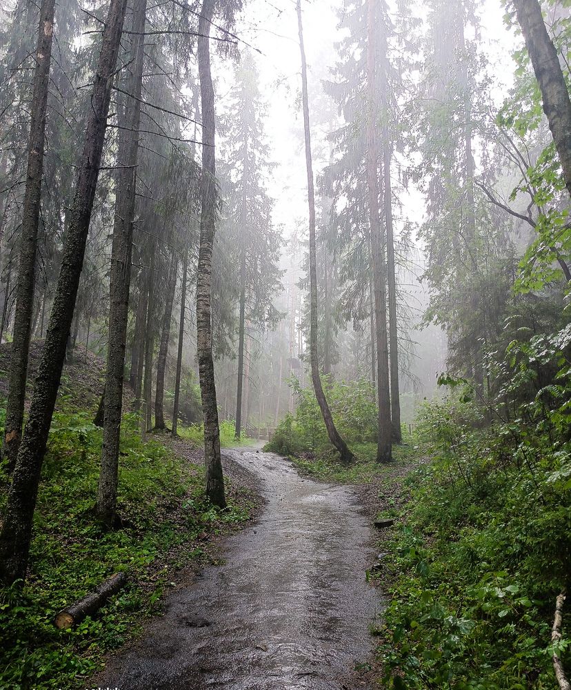 Photograph by Любовь Клюнтина