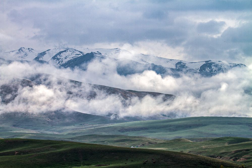 Photograph by Ирина Курьянова