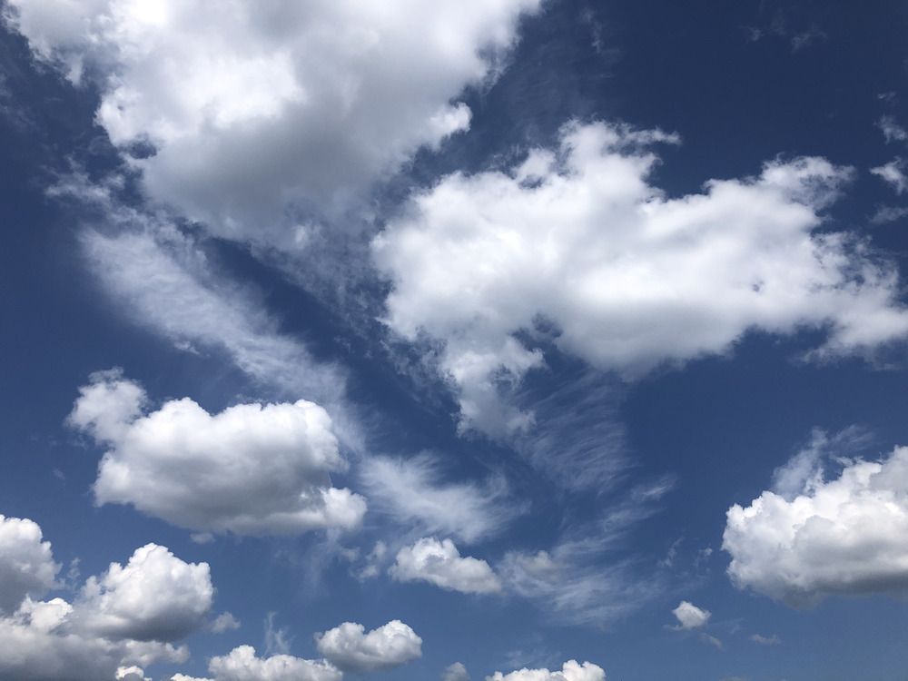 Photograph by Alexander Coin