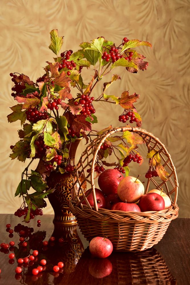 Калина красная