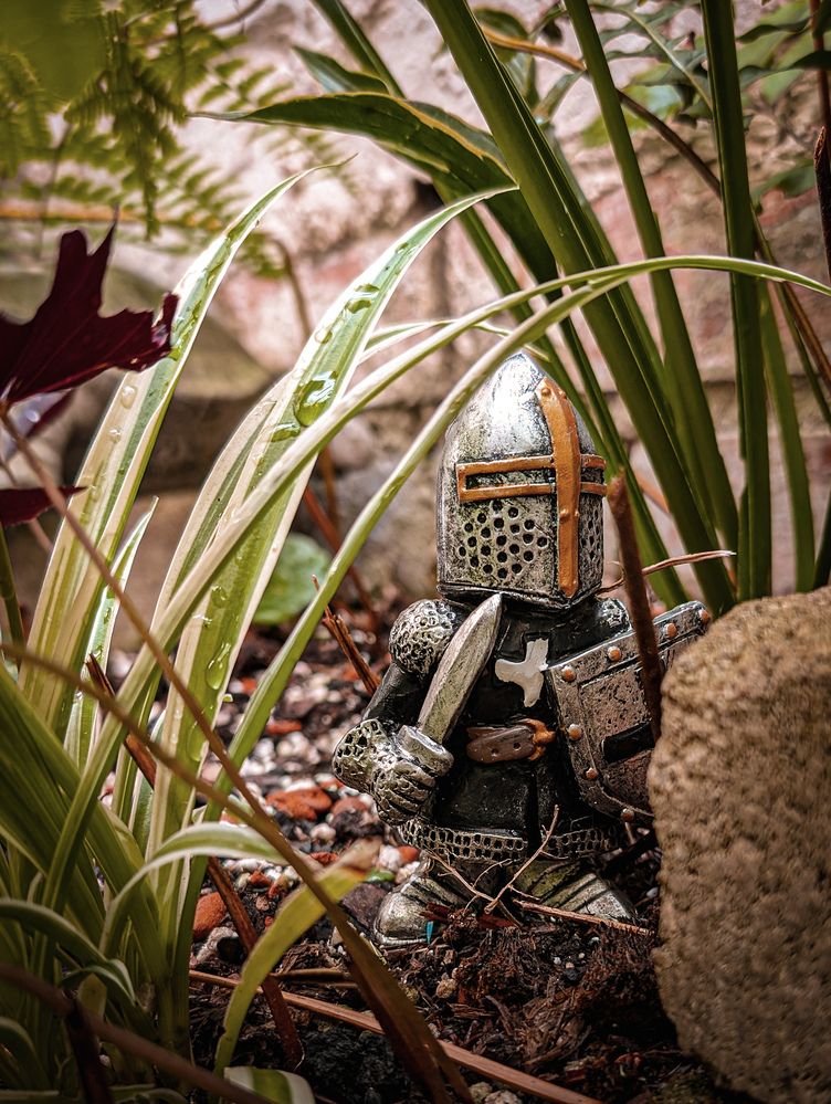 Фотография автора Ian Heard