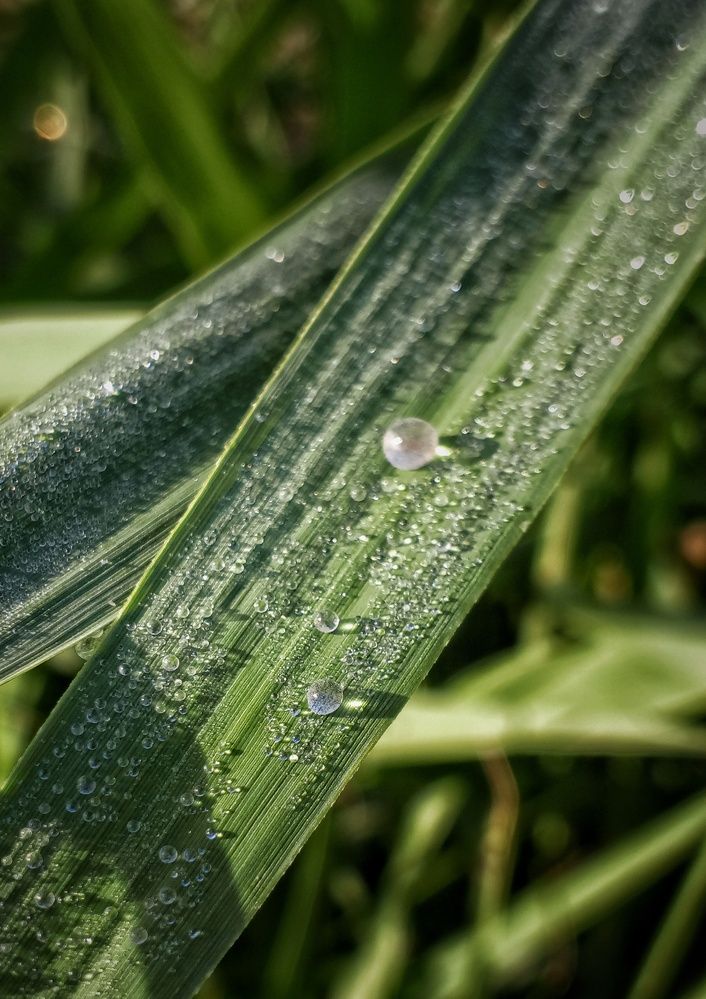 Photograph by Ольга Куцева