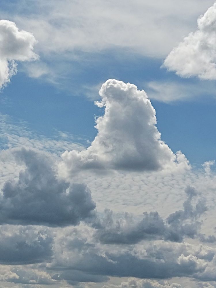 Photograph by Ирина Семенович